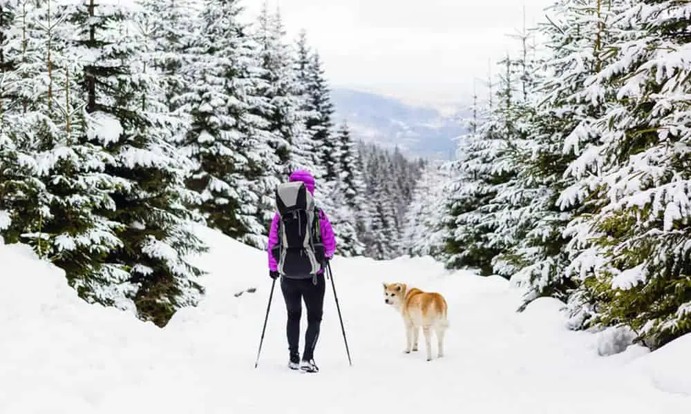 Walking-with-Trekking-Poles