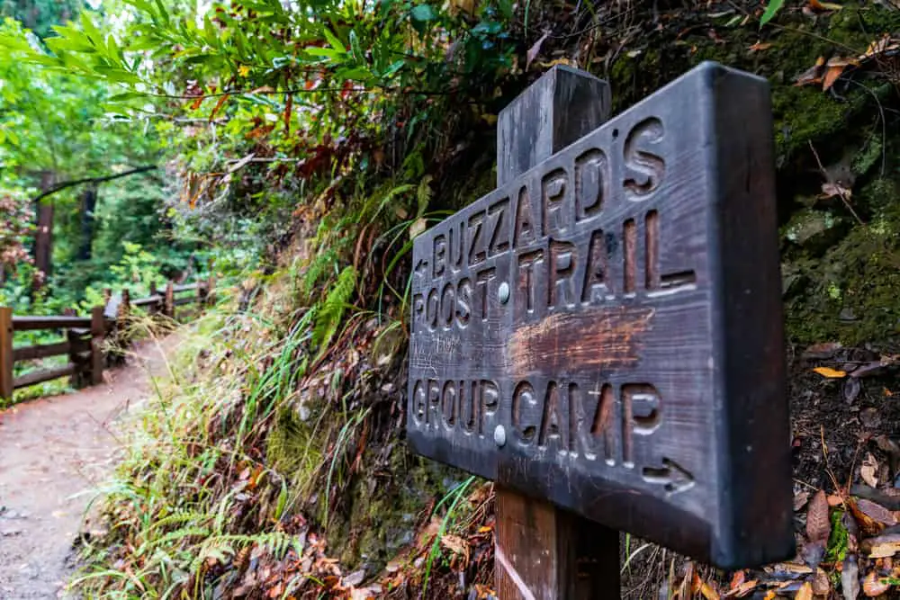 1. Buzzards Roost Trail