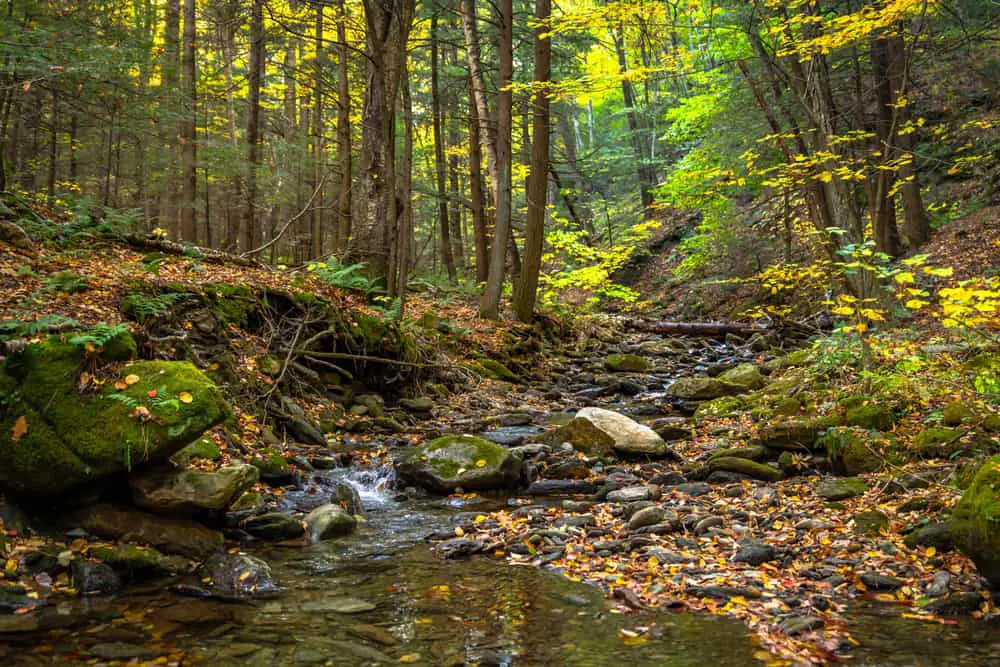 High Ledges Wildlife Sanctuary, Shelburne