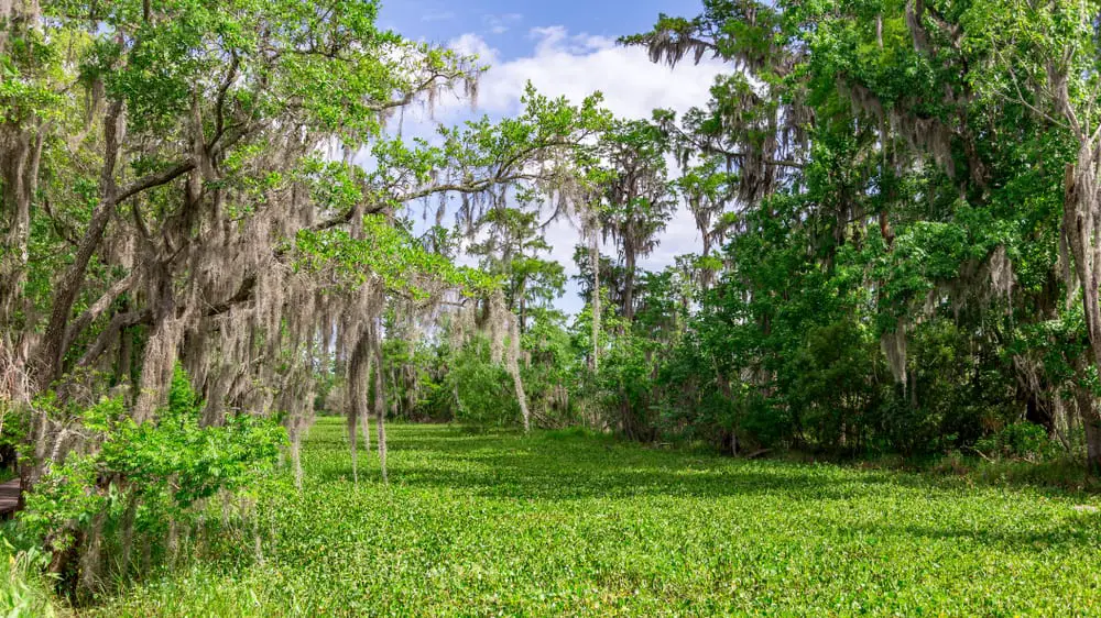 Jean Lafitte National Historical Park and Preserve