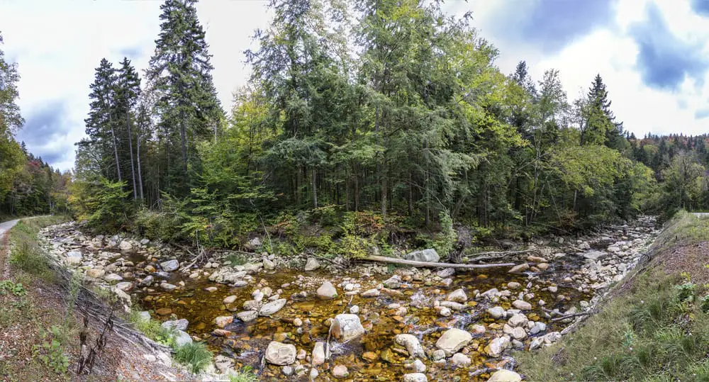 Mount Toby State Forest, Sunderland and Leverett