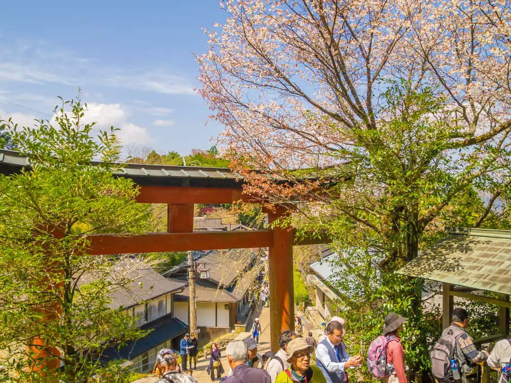 Mt. Yoshino