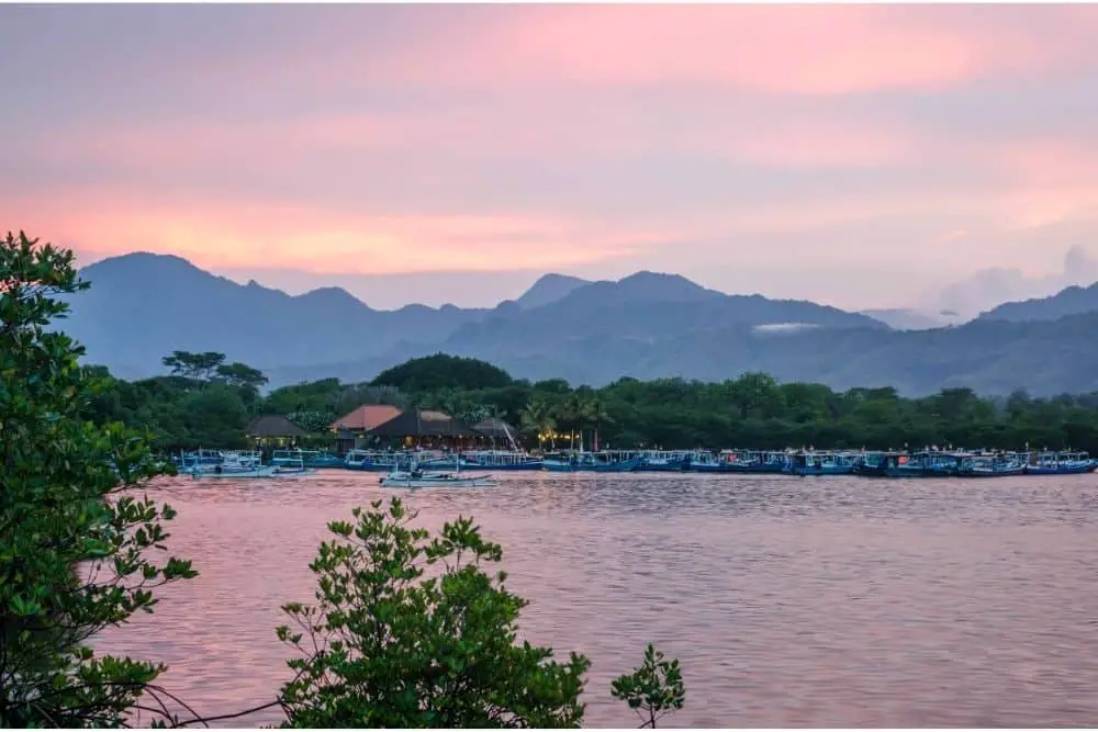 West Bali National Park