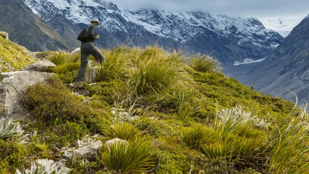 Hiking in New Zealand