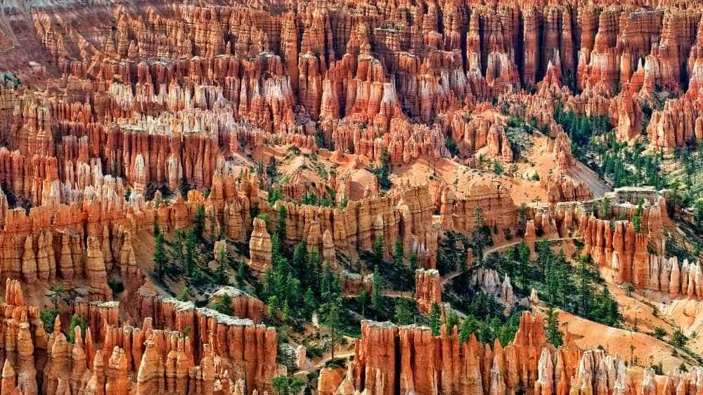 Bryce canyon national park view
