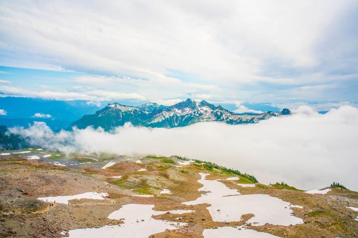 Best Day Hikes In Mt. Rainier National Park 1