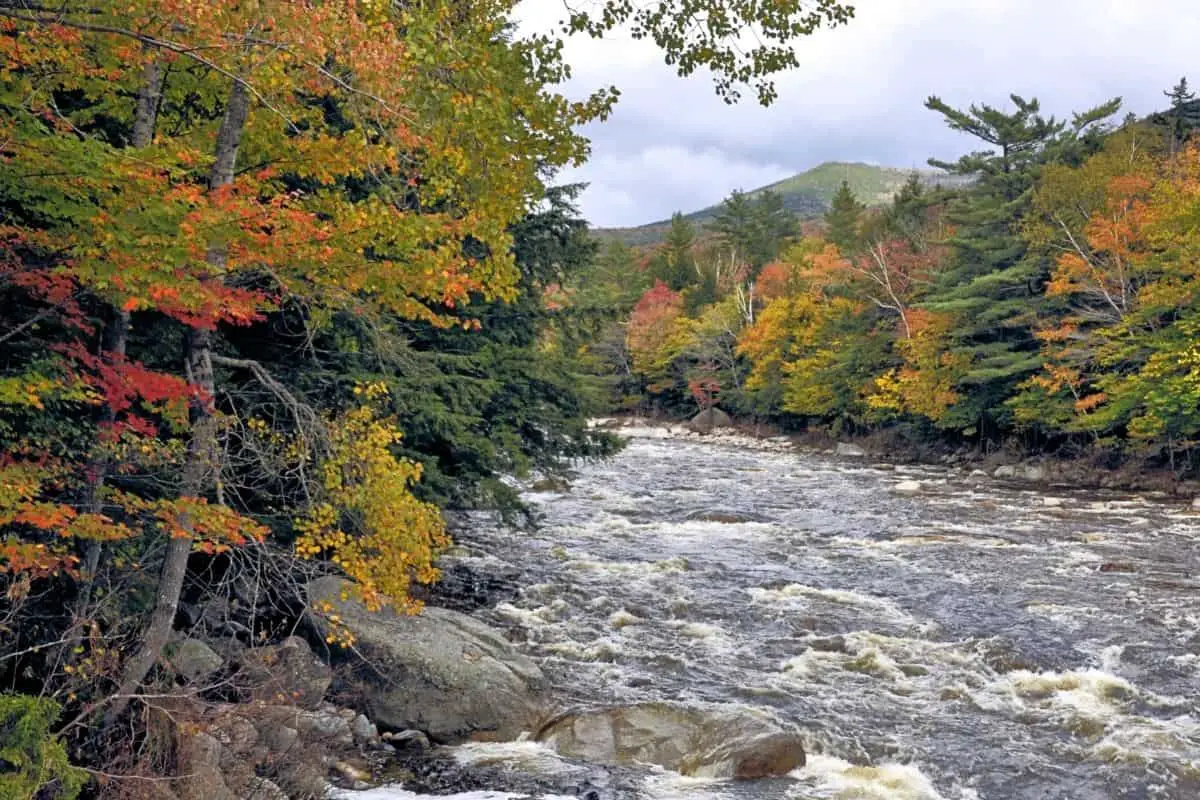 Best Day Hikes In White Mountains (New Hampshire) 3