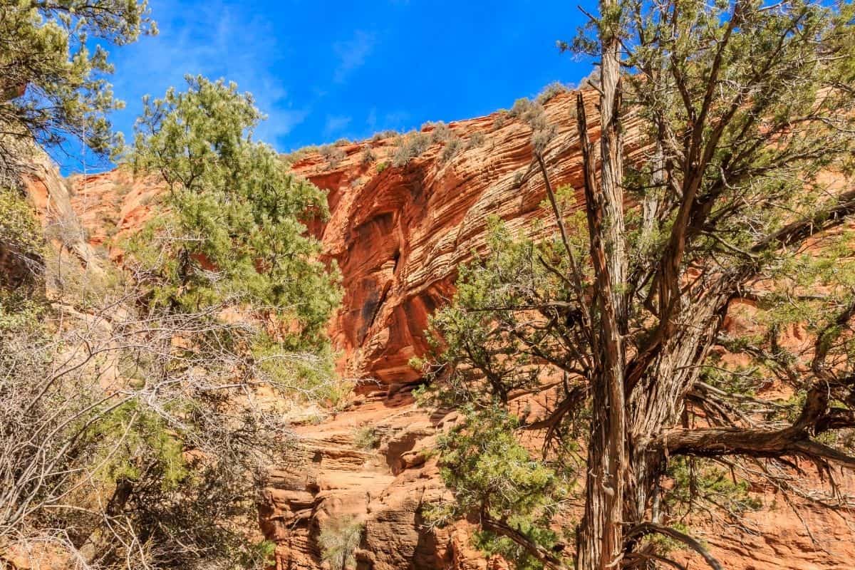 Best Day Hikes in Zion National Park 2