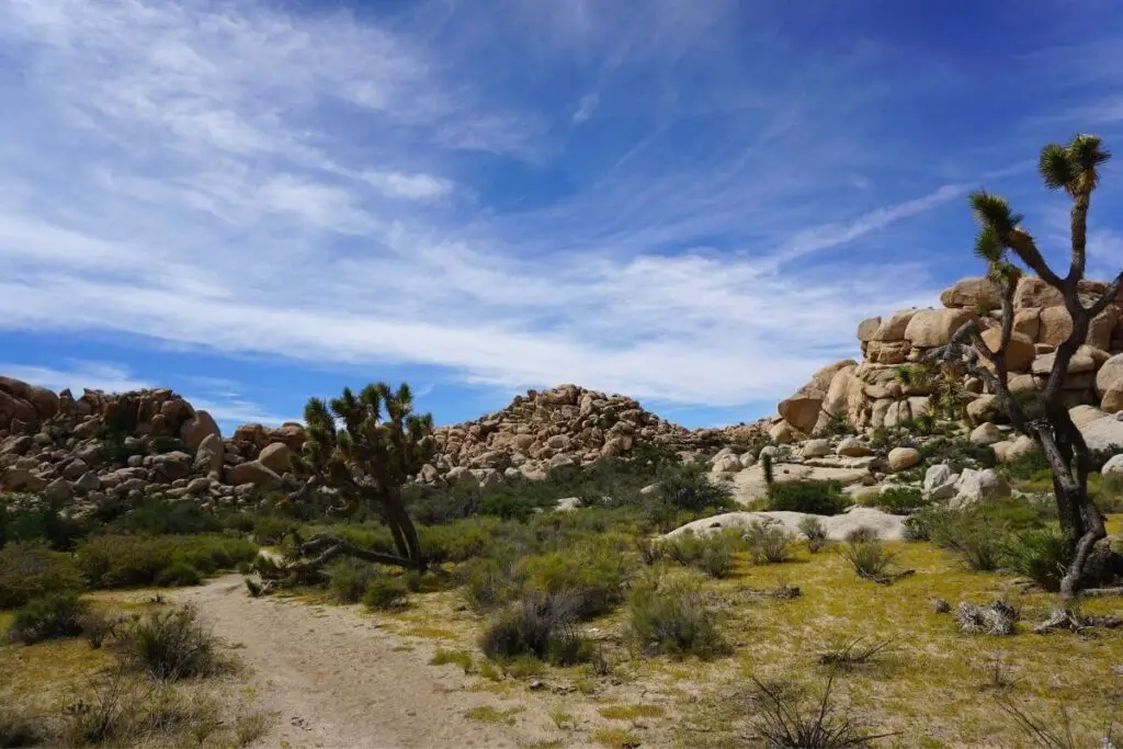 Barker Dam Nature Trail Joshua Tree