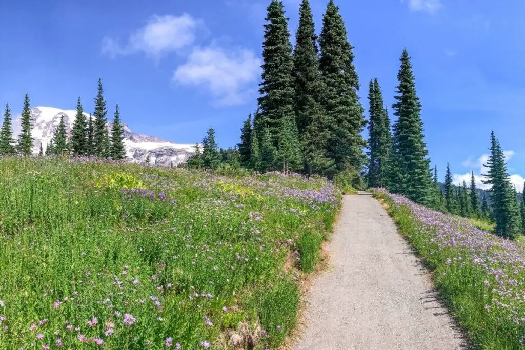 Naches Peak Loop Mt. Rainier National Park