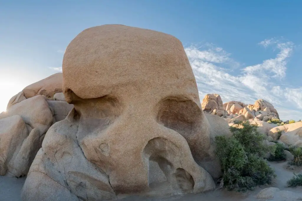 Skull Rock Nature Trail Joshua Tree