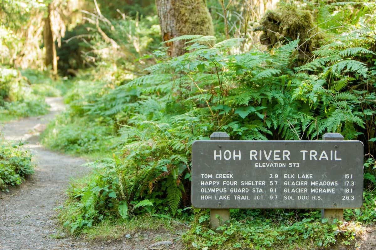Hoh River Trail To Blue Glacier