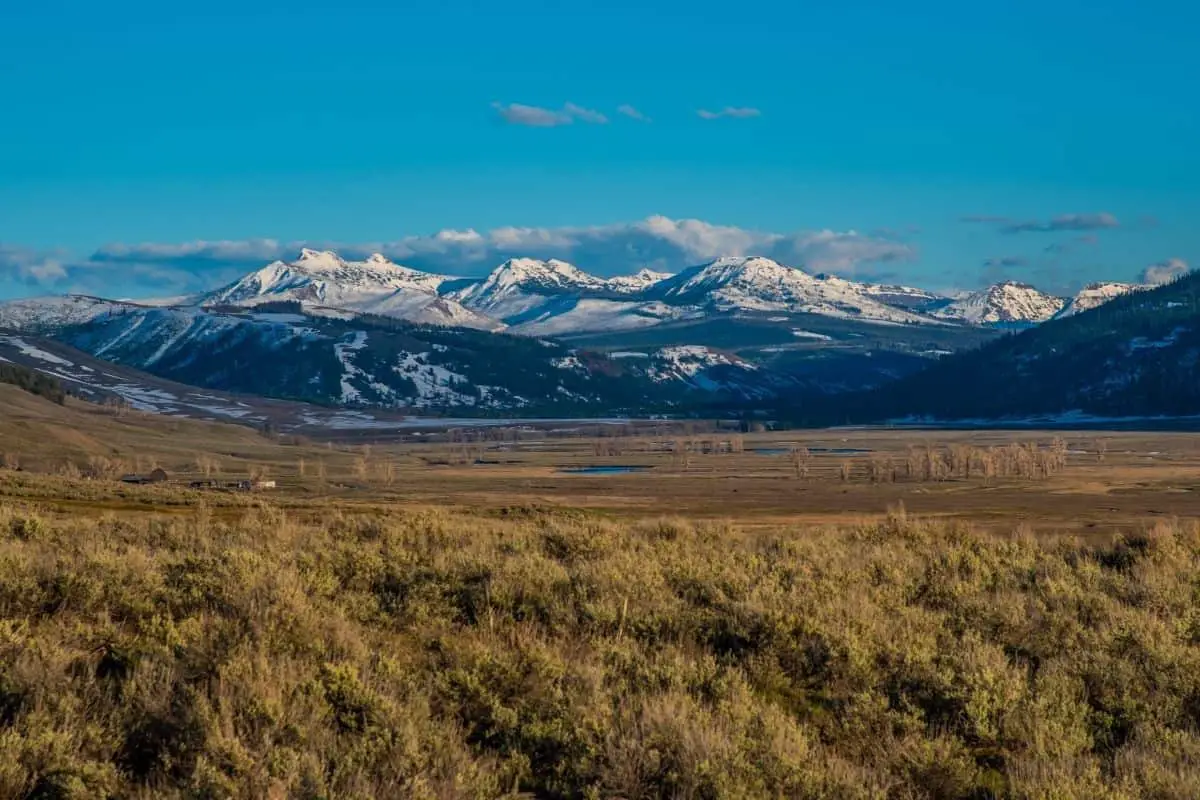 Lamar Valley Loop