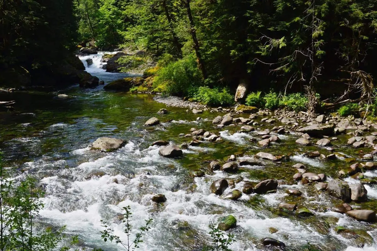 Sol Duc River