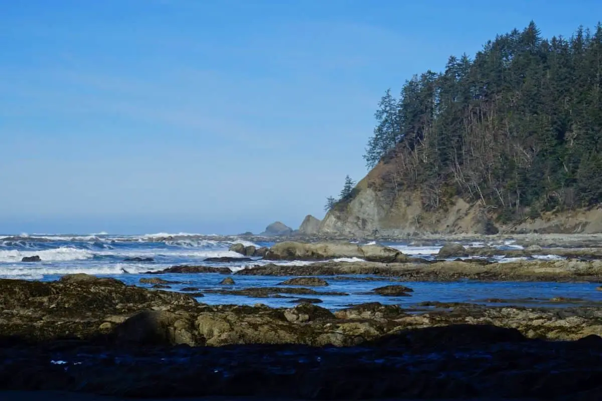 South Coast Wilderness Trail