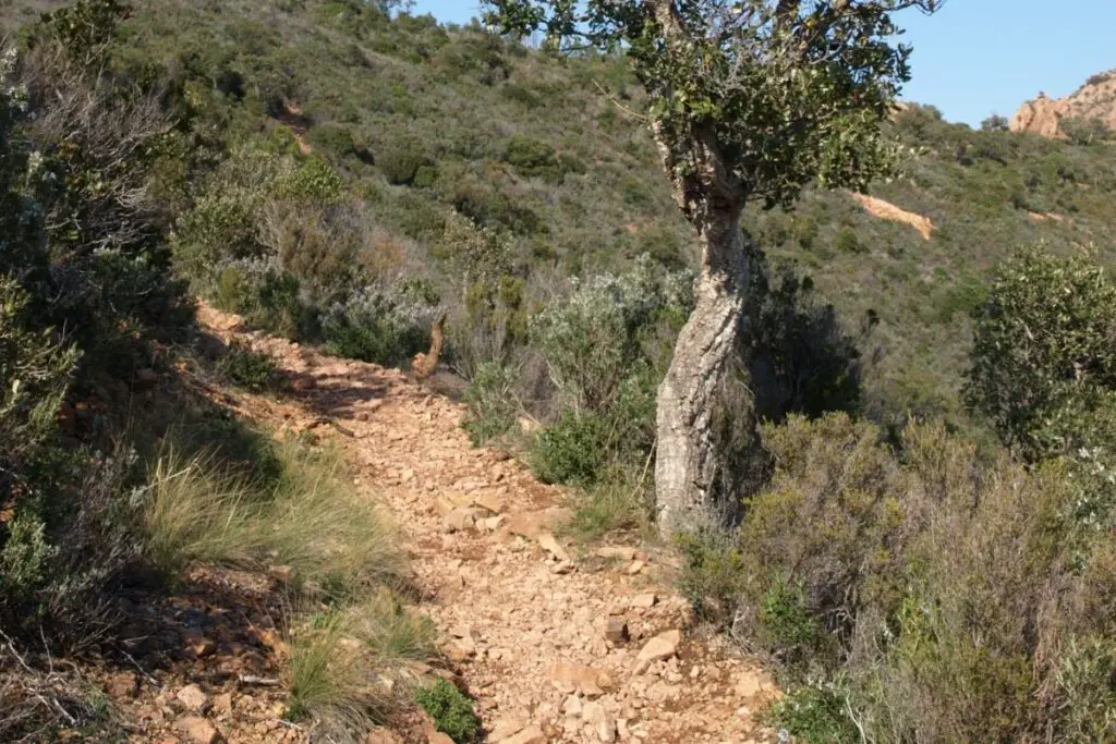 Waterfall Creek Hike