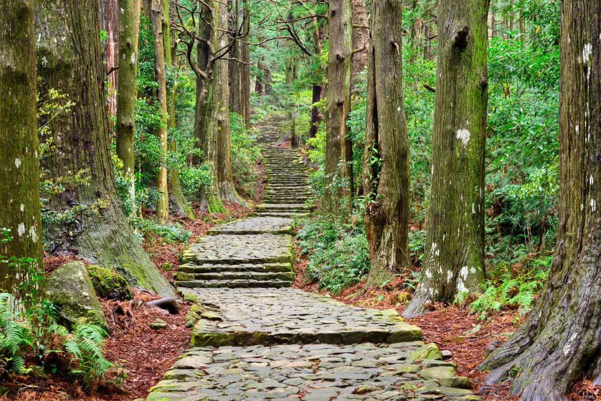 Kumano Kodo Nakahechi Trail