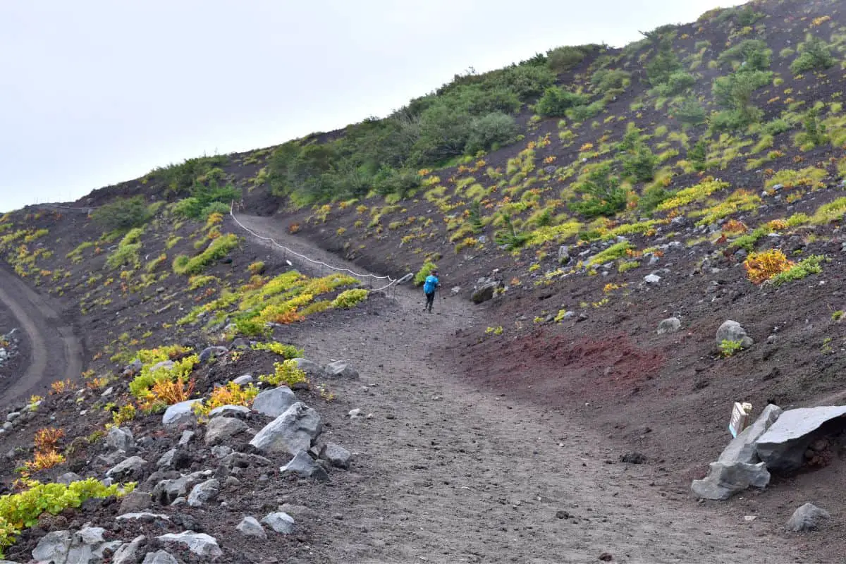 Mount Fuji Trail