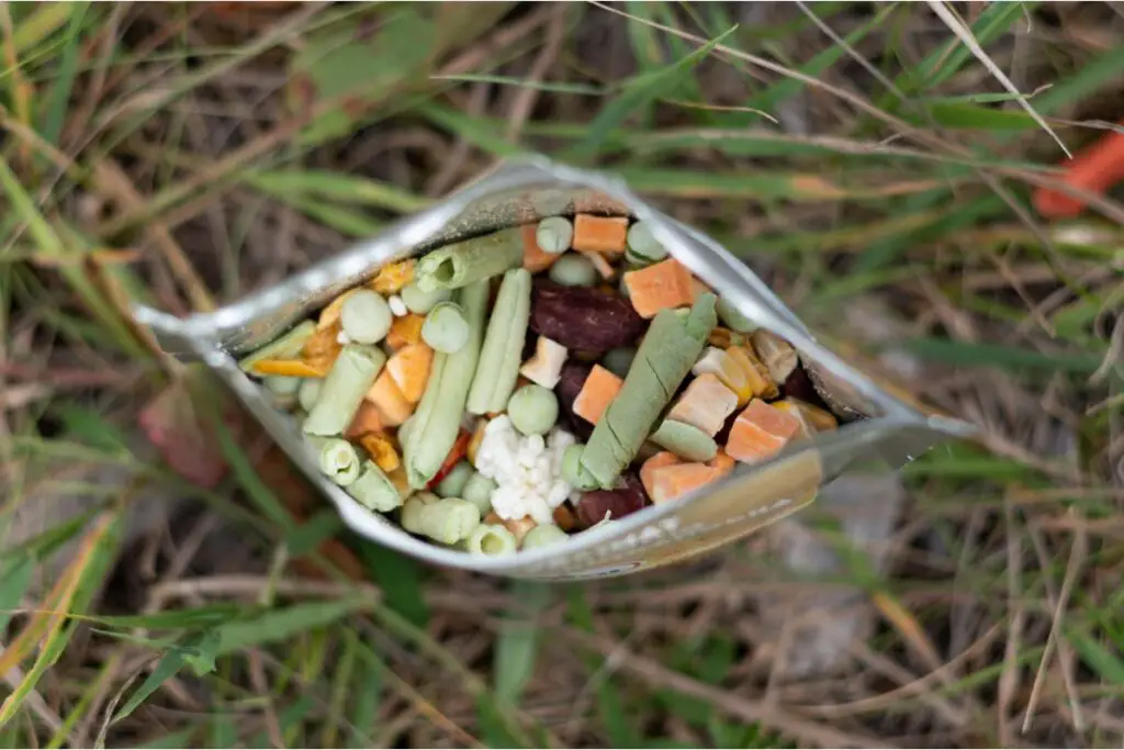 How To Freeze Dry Food For Backpacking (DIY Freeze Dried Food For Hiking)