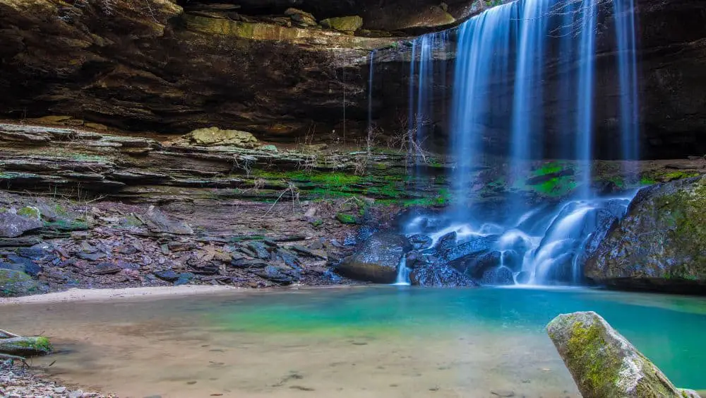 Bankhead National Forest Trails