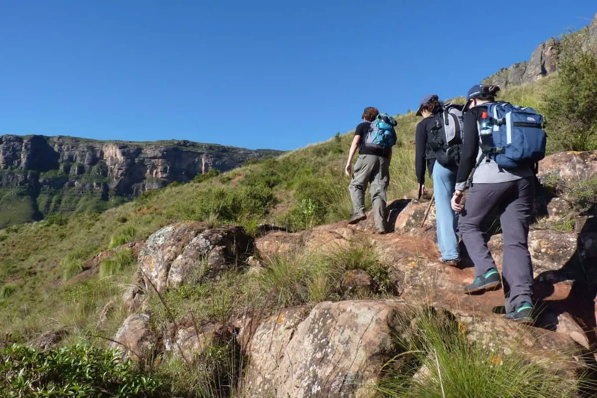 How To Prevent Snake Bites While Hiking