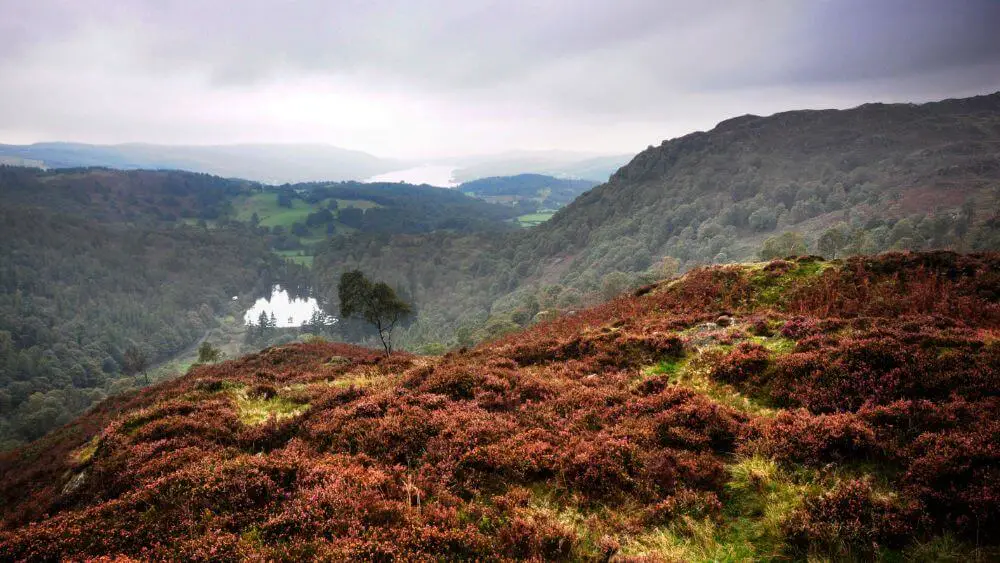 Holme Fell Conniston Lake District