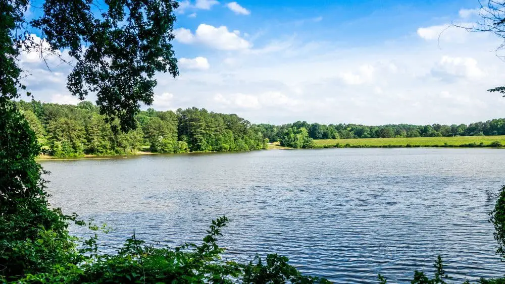 Shelley lake campground Michigen