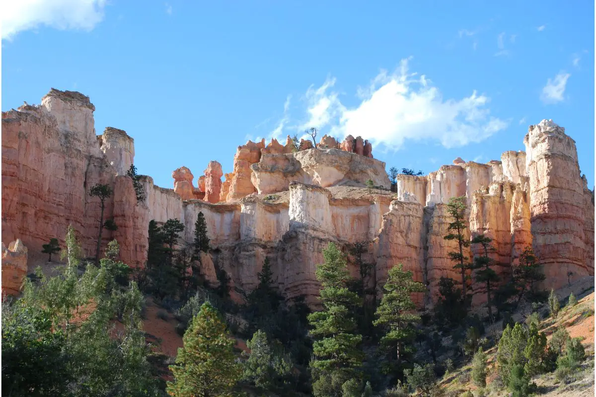Can You Drive Through Zion National Park (1)