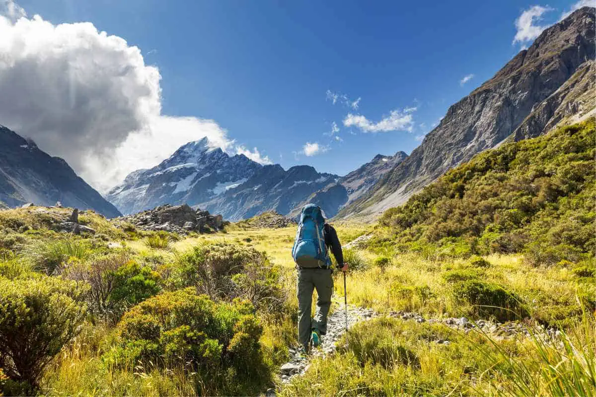 The Great Walks of New Zealand