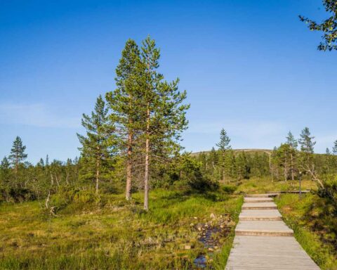 Hiking Finland guide