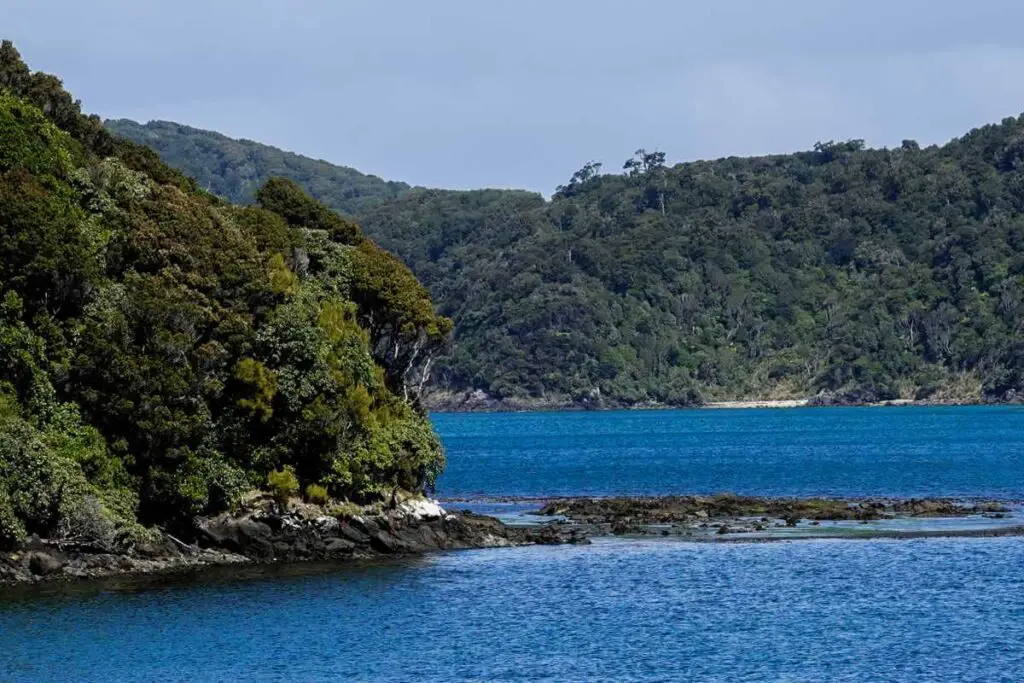 hiking Rakiura Track