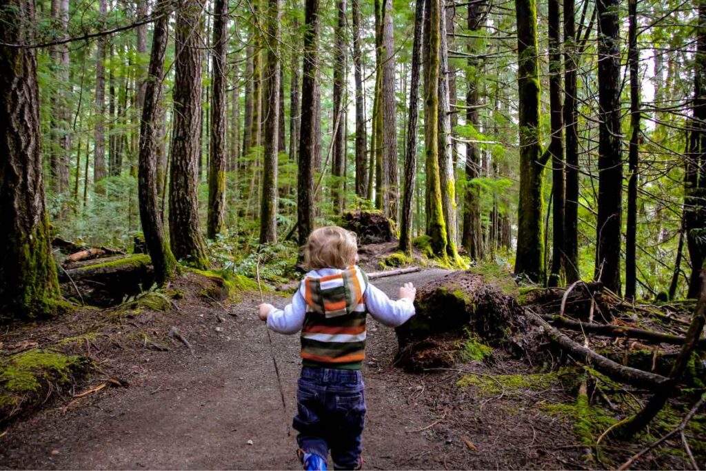 The Benefits Of Hiking With A Toddler