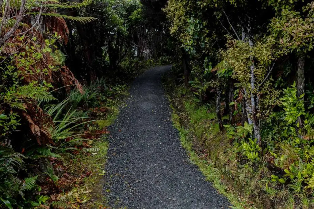 logistics Rakiura Track New Zealand