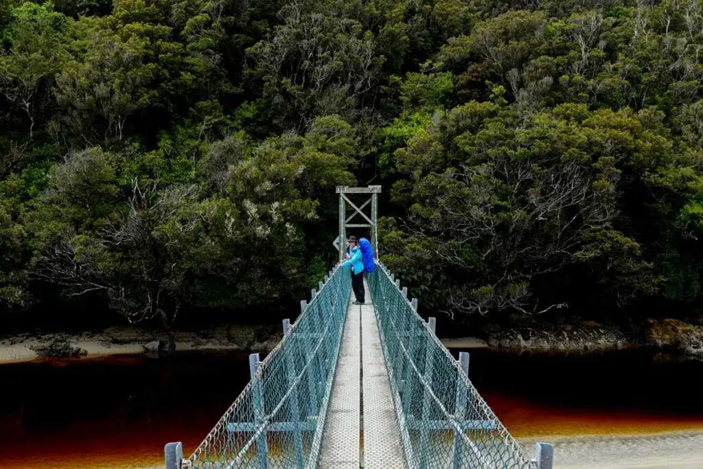 Rakiura Track New Zealand