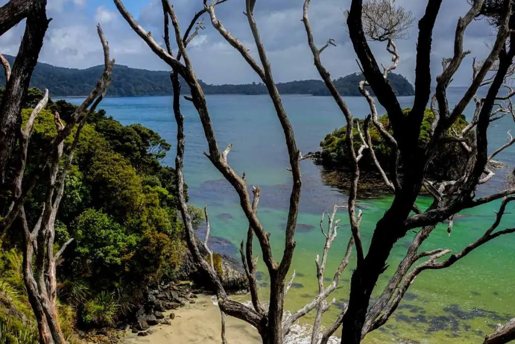 safety Rakiura Track New Zealand