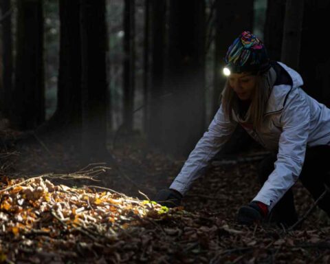 Best Rechargeable Headlamp for Hiking