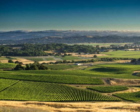 best Sonoma County Hiking Trails guide