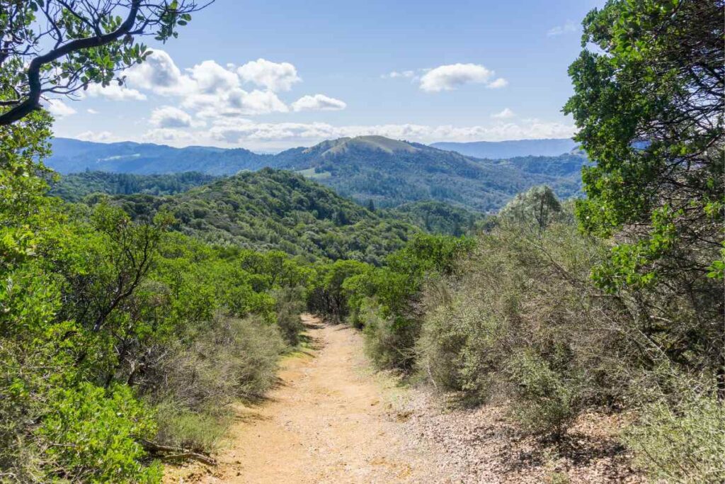 Sonoma County hiking trail