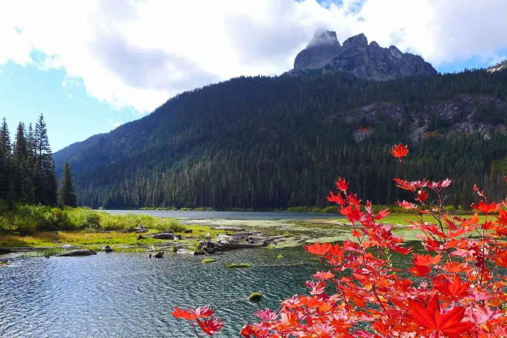 Alpine lakes wilderness