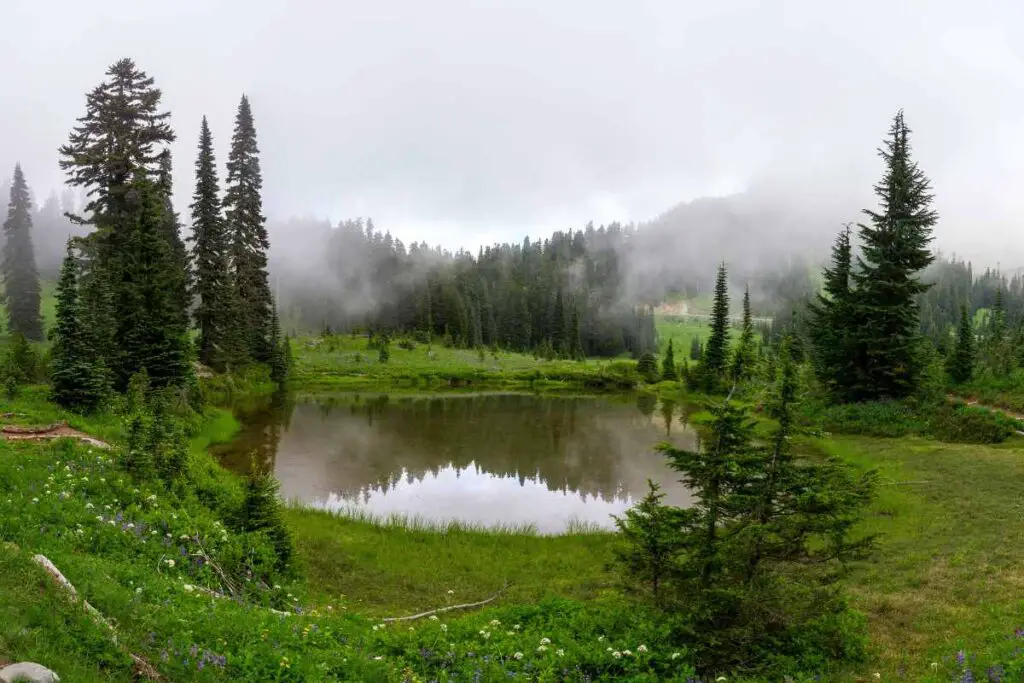 camping Washington State