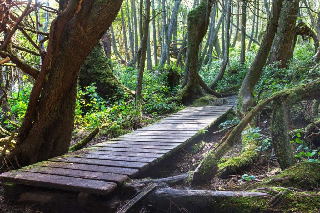top hikes in Vancouver