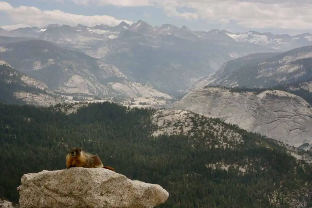 faqs about hiking Half Dome