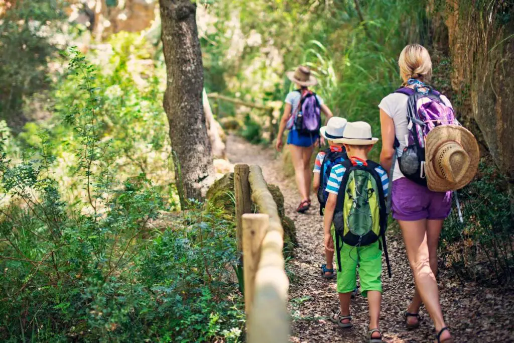 lightweight portable lunch ideas hiking