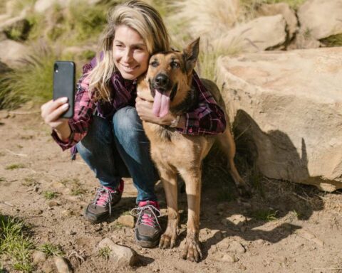 dog friendly hikes Bay Area