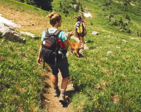 Is Hiking Good for Weight Loss